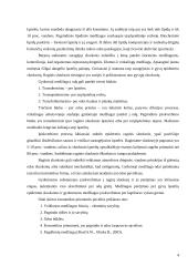 Odos valikliai: rūšis, sudėtis ir panaudojimas 4 puslapis