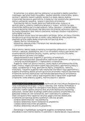 Ornamentas lietuvių liaudies balduose 3 puslapis