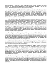 Radioaktyvumo pavojus 4 puslapis