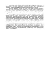 Romaninis architektūros stilius 4 puslapis