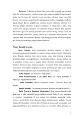 Senovės lietuvių tikėjimas 4 puslapis