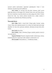 Senovės lietuvių tikėjimas 9 puslapis