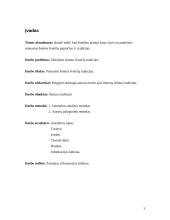 Šeimos šventės: krikštynos, vestuvės, laidotuvės 3 puslapis