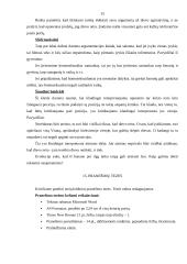 Tezės ir argumentai 13 puslapis