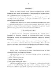 Tezės ir argumentai 6 puslapis