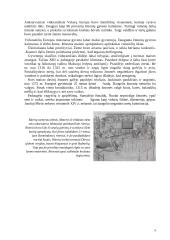 Viduramžių miestų istorija 9 puslapis