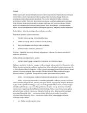 Ilgalaikių investicijų rizikos vertinimo metodikos analizė ir tobulinimas