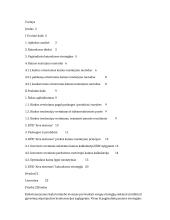 Kainodara X įmonėje