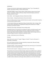 Lizingas - alternatyvus finansavimo šaltinis