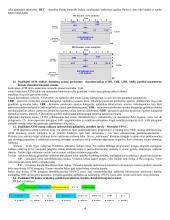 Interneto perdavimo technologijos. IWF (InterWorking Functions). Loginiai tinklai 4 puslapis