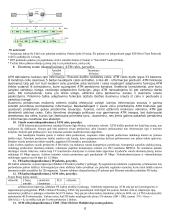 Interneto perdavimo technologijos. IWF (InterWorking Functions). Loginiai tinklai 8 puslapis
