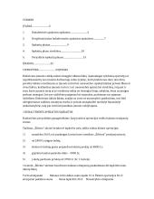 Sąskaitos ir jų rūšys