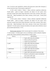Kineziterapijos efektyvumo vertinimas po klubo sąnario endoprotezavimo operacijos 13 puslapis