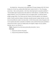 Europos Sąjungos (ES) poveikis naujai priimtų šalių ekonomikai 3 puslapis