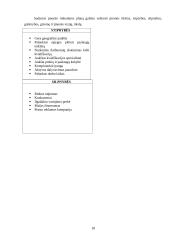 Įmonės praktinė rinkodaros analizė: UAB "Lisima" 18 puslapis