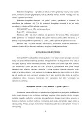 Įmonės praktinė rinkodaros analizė: UAB "Lisima" 4 puslapis