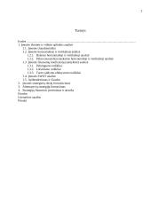 Įmonės veiklos rezultatų ir juos įtakojančių veiksnių analizė 2 puslapis