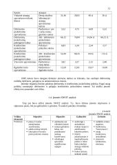 Įmonės veiklos rezultatų ir juos įtakojančių veiksnių analizė 12 puslapis