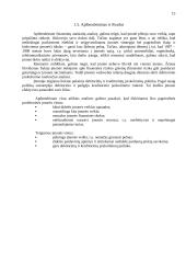 Įmonės veiklos rezultatų ir juos įtakojančių veiksnių analizė 15 puslapis