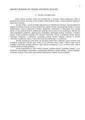 Įmonės veiklos rezultatų ir juos įtakojančių veiksnių analizė 5 puslapis