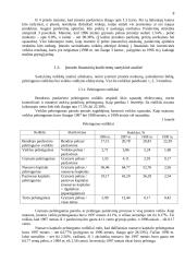 Įmonės veiklos rezultatų ir juos įtakojančių veiksnių analizė 8 puslapis