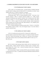 Investicinis portfelis iš keleto lietuviškų įmonių akcijų 8 puslapis