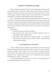 Investicinis portfelis iš keleto lietuviškų įmonių akcijų 10 puslapis