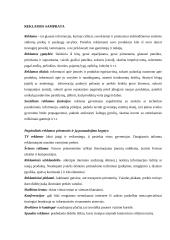 Įtikinanti reklamos jėga 2 puslapis