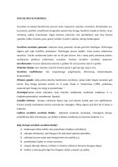 Įtikinanti reklamos jėga 3 puslapis