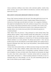 Įtikinanti reklamos jėga 5 puslapis