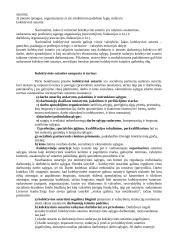 Kolektyvinė sutartis: "Achema" 2 puslapis