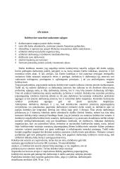 Kolektyvinė sutartis: "Achema" 10 puslapis