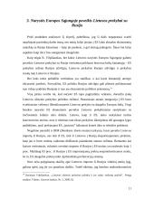 Lietuvos ekonominiai santykiai su Rusija: evoliucija ir raidos tendencijos 11 puslapis