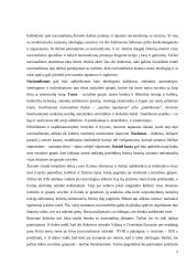 Nacionalizmo ir rasizmo ideologijų palyginimas 2 puslapis