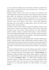 Nacionalizmo ir rasizmo ideologijų palyginimas 3 puslapis