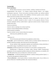 Prekės pardavimo proceso srauto diagrama parduotuvėje "Topo centras" 2 puslapis