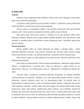 Prekės pardavimo proceso srauto diagrama parduotuvėje "Topo centras" 5 puslapis