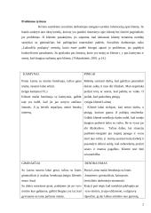 Sisteminio socialinio darbo modelio atvejo analizė 2 puslapis