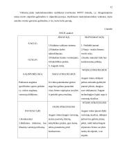 Valdymo sprendimai: UAB "SportNeta" 10 puslapis