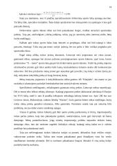 Valdymo sprendimai: UAB "SportNeta" 12 puslapis