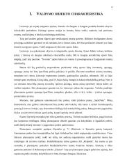 Valdymo sprendimai: UAB "SportNeta" 2 puslapis