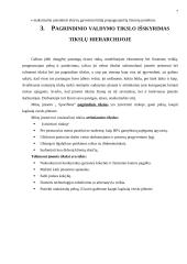 Valdymo sprendimai: UAB "SportNeta" 5 puslapis