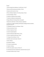 Špera fizikos egzui