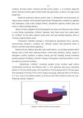 Verslo planas: "Oriflame" kosmetikos platinimas IĮ "Klasikinė mada" 13 puslapis