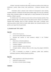 Verslo planas: "Oriflame" kosmetikos platinimas IĮ "Klasikinė mada" 17 puslapis