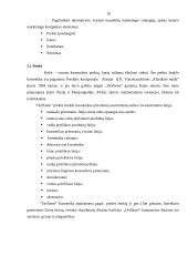 Verslo planas: "Oriflame" kosmetikos platinimas IĮ "Klasikinė mada" 19 puslapis