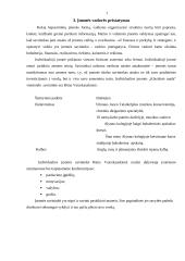 Verslo planas: "Oriflame" kosmetikos platinimas IĮ "Klasikinė mada" 7 puslapis