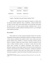 Žinių vadybos samprata 3 puslapis