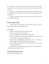 Žinių vadybos samprata 4 puslapis