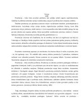 Sponsoringas, kaip viena iš prostitucijos formų 2 puslapis